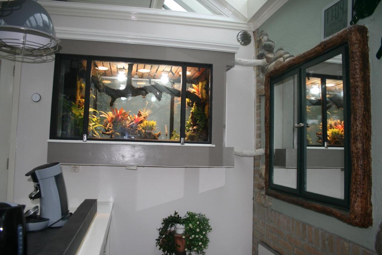 The Butterfly Luxe Appartement Met Private Parking Zandvoort Exterior foto